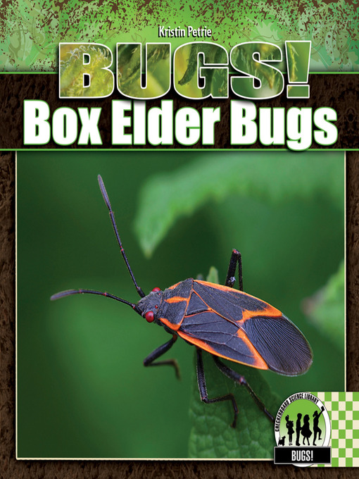 Title details for Box Elder Bugs by Kristin Petrie - Wait list